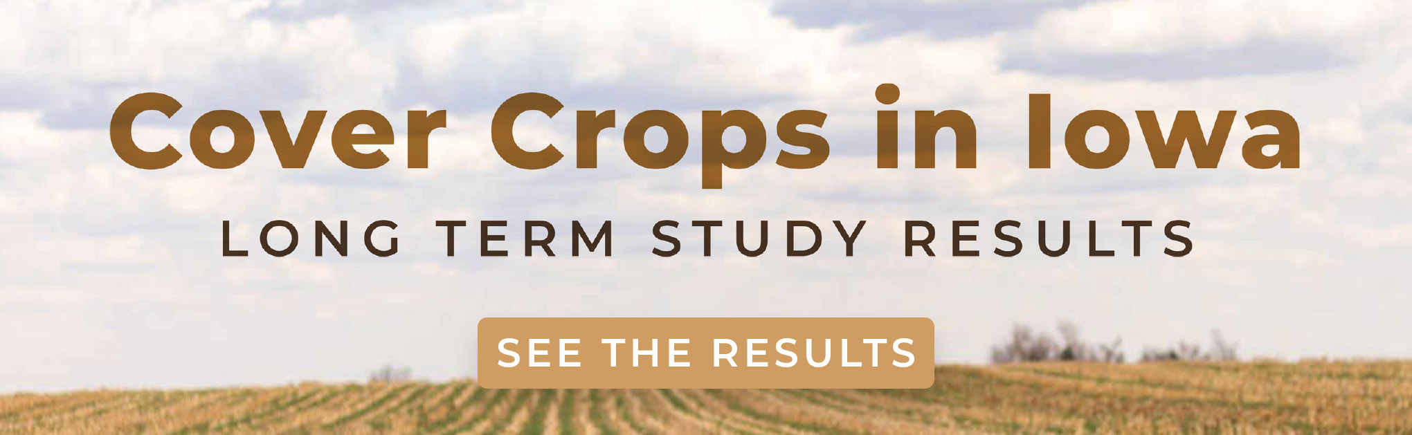 Cover Crop Guide